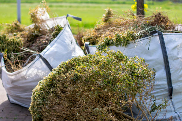 Best Same-Day Junk Removal  in Vandenberg Af, CA